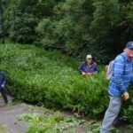 Volunteer workers tackle green spaces
