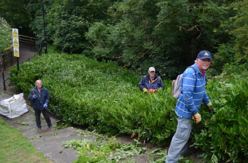 Volunteer workers tackle green spaces
