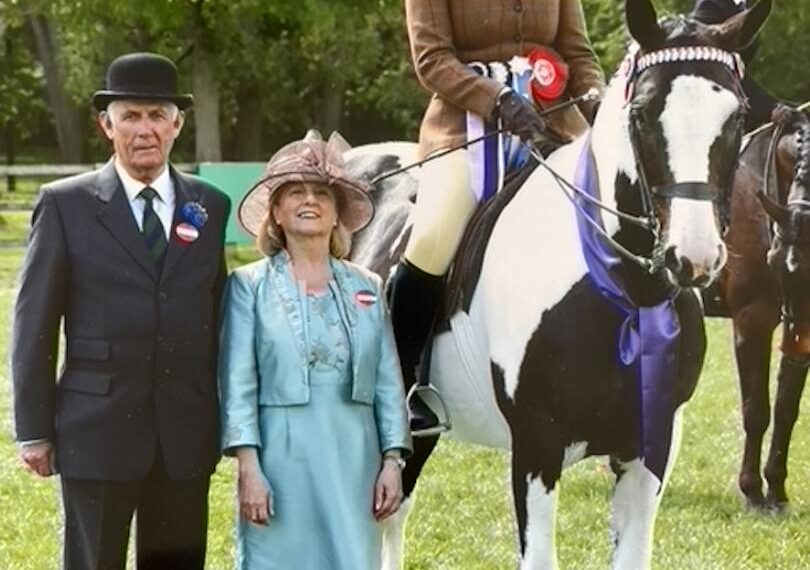 Dwenks’ gallops to the rescue for equestrian star