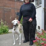 Appeal for therapy dog Amber to get&hellip;