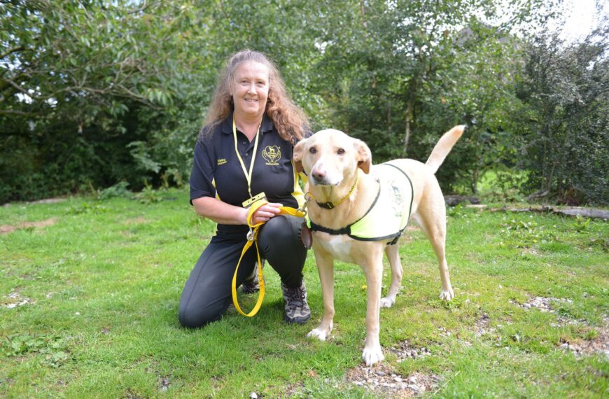 Rescue pet is service new recruit