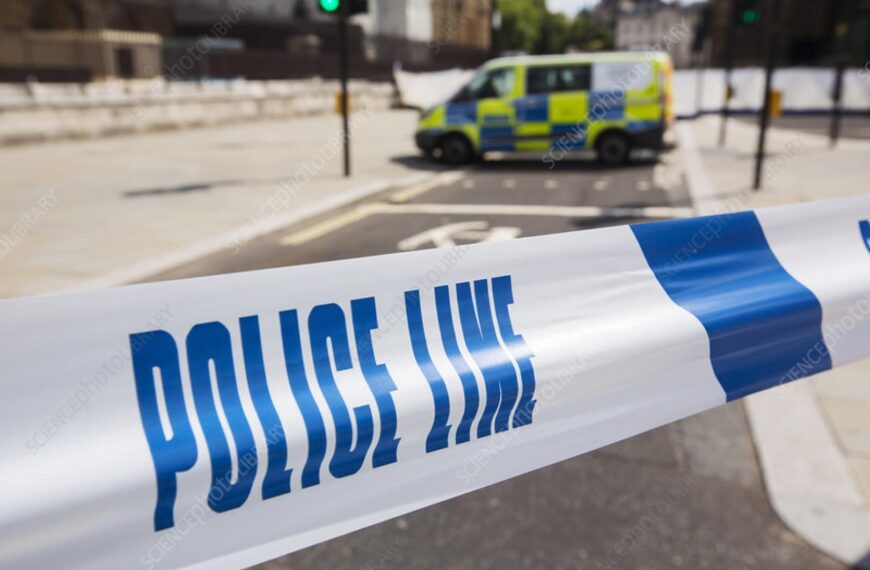 Woman shot at with air rifle