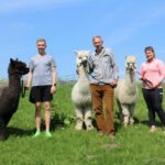 Life in the slow lane with laid&hellip;