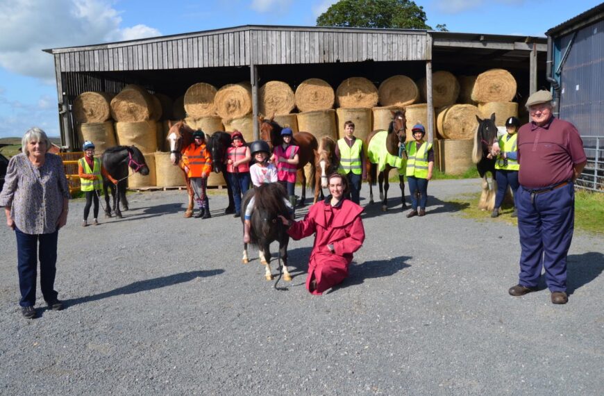 Horse owners’ safety plea to drivers