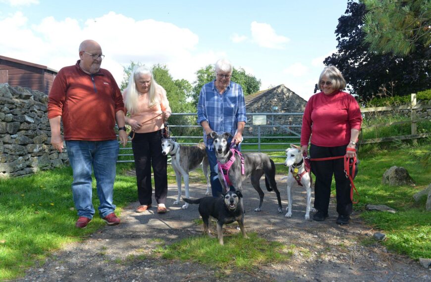 Greyhounds ready for fundraising ‘walkies’