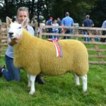 Success at the double for Stones’ Cheviots