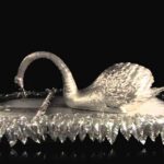 New life for 250 year old Swan