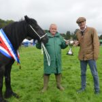 Dales pony steals the show at Eggleston
