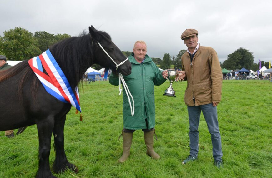 Dales pony steals the show at Eggleston