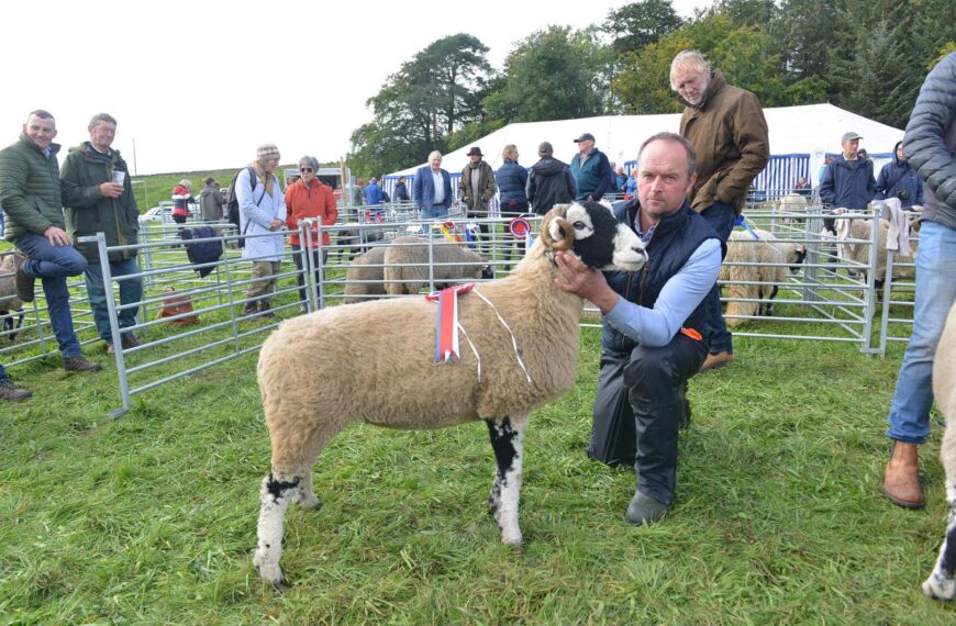 Ewes dominate at Langdon Beck