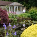 Two blooming treats for the price of&hellip;