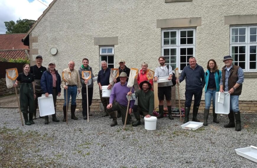 River fly indicator of beck recovery