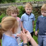 Butterflies take flight after being nurtured by&hellip;