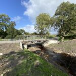 Weir removal aids fish migration