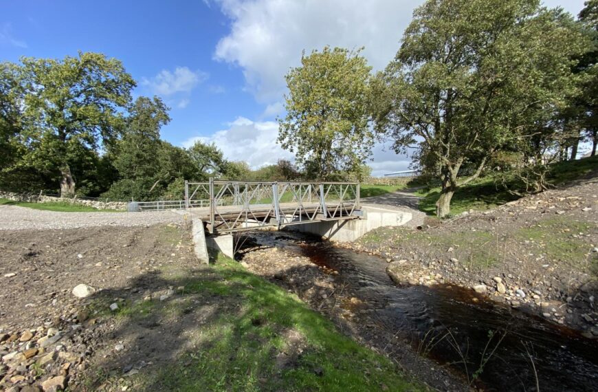 Weir removal aids fish migration
