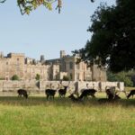 Tourism accolade for Raby Castle