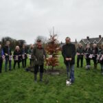 Copper beech tribute takes root at last