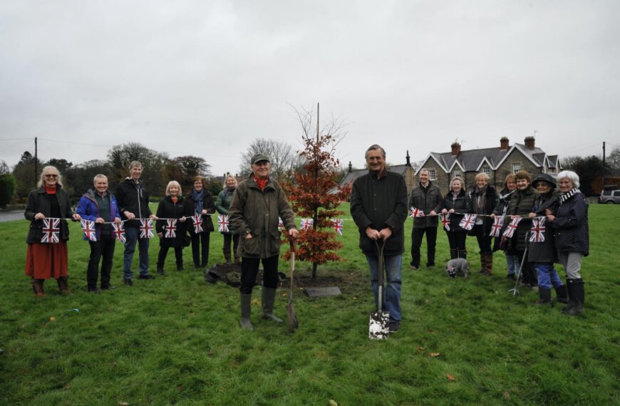 Copper beech tribute takes root at last