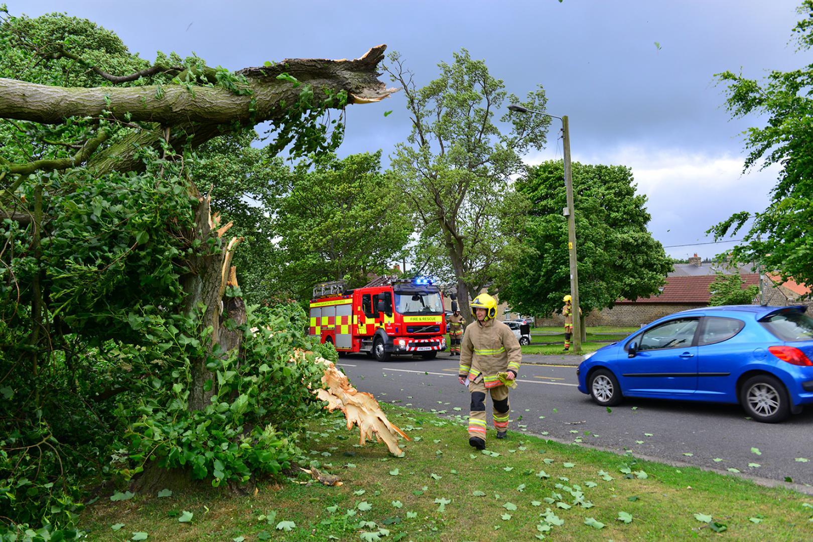 Storm Hector winds bring down tree in&hellip;