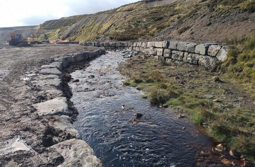 Measures to tackle beck pollution