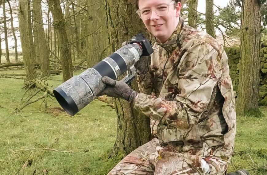 Wildlife in Sharp focus