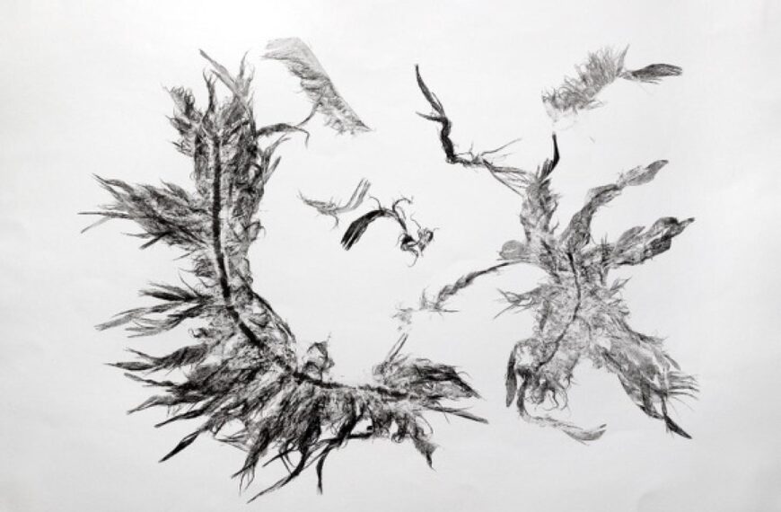 Birds in art flock together at museum