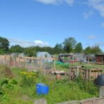 Changes allow for six birds