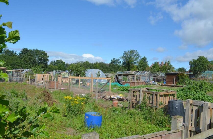 Changes allow for six birds