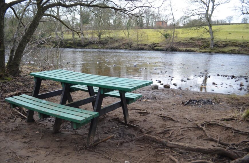 Riverside vandals rip out beauty spot bench