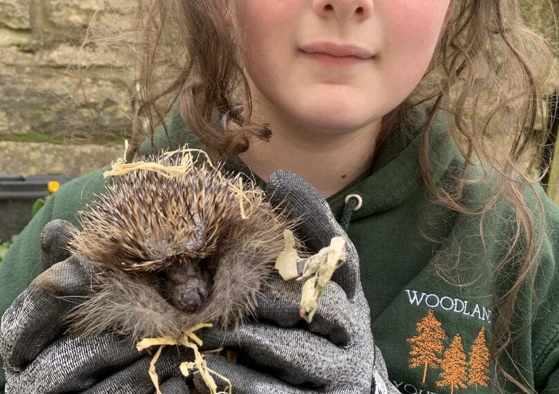 National award for animal lover Sophie