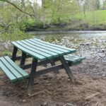 Helpers praised after ‘senseless’ yobs strike again