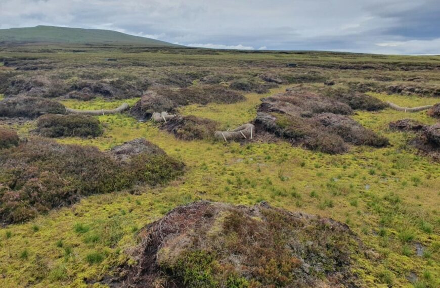 £1m grant for peatland restoration