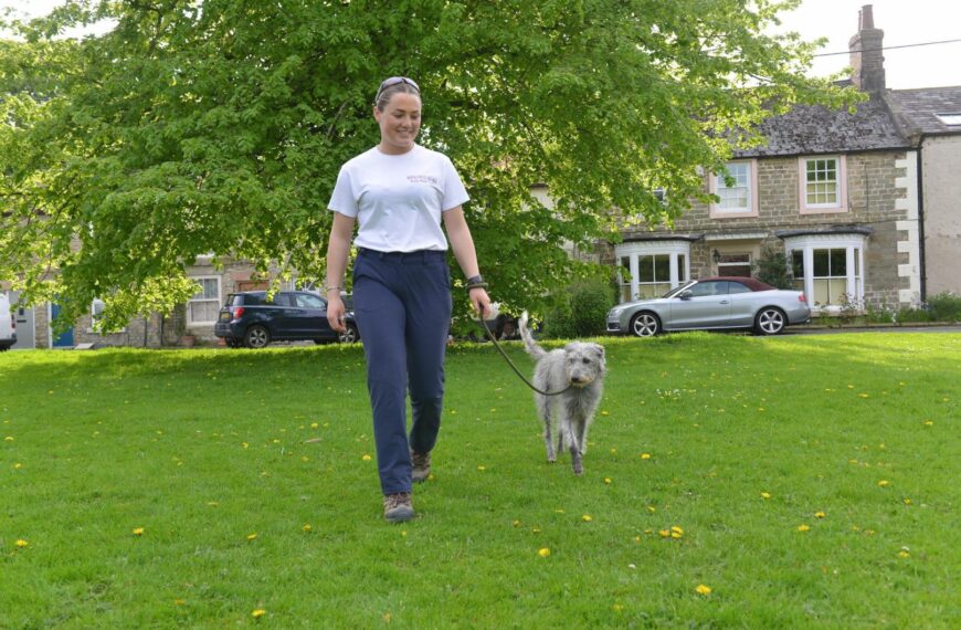Evie hopes plan will be barking up the right tree