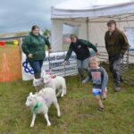 Lamb National is a bleating success