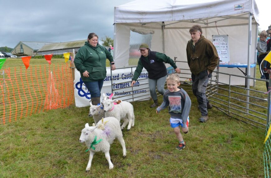 Lamb National is a bleating success