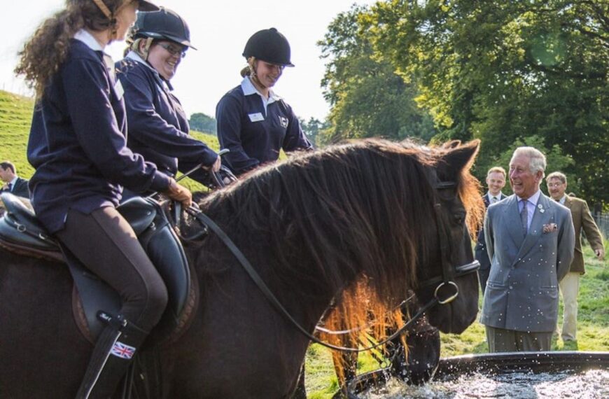 King continues as Dales Pony Society patron