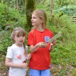 Outdoor sleuths hunt for missing butterflies