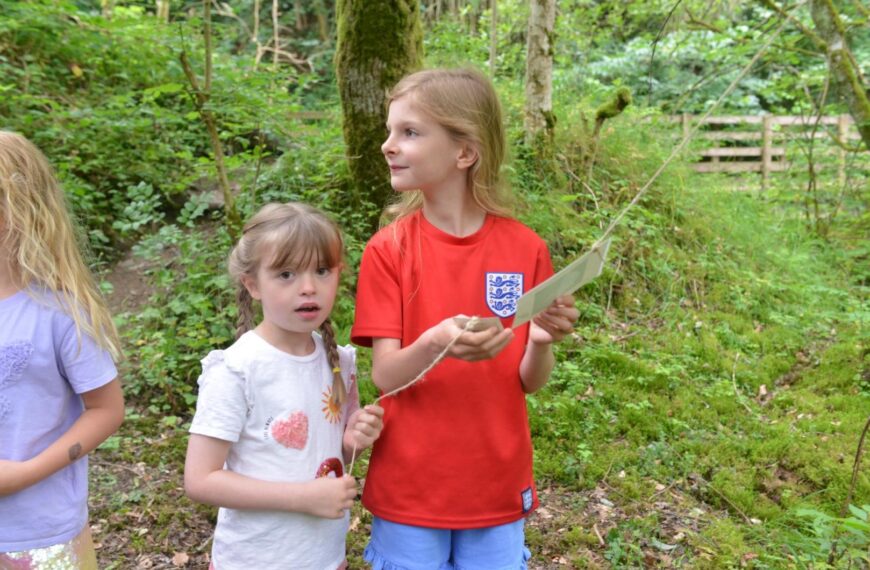 Outdoor sleuths hunt for missing butterflies