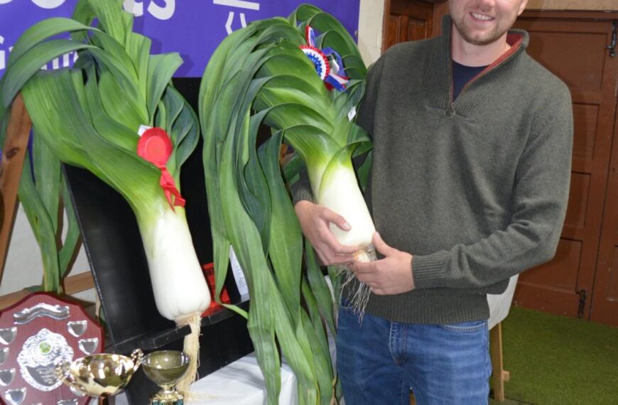 Perfect produce defies difficult growing season