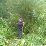 A ‘daunting’ challenge lies ahead