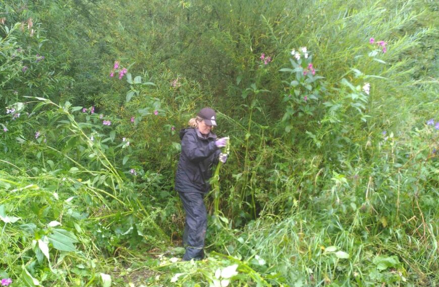 A ‘daunting’ challenge lies ahead