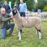 Quality reigns despite difficult sheep season