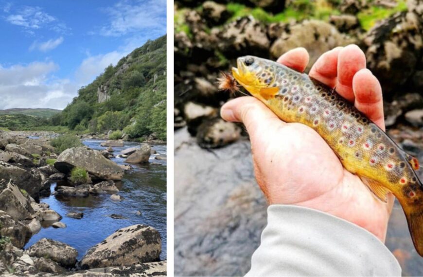 When trout ‘hits like a torpedo…’