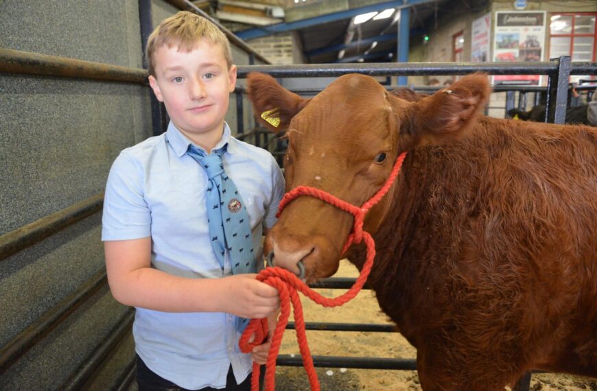 Young farmers finish in fine style