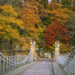 Whorlton bridge to be closed for three…