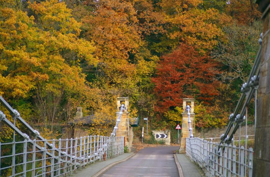 Whorlton bridge to be closed for…