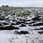 Don’t ruin dale’s unique fell’