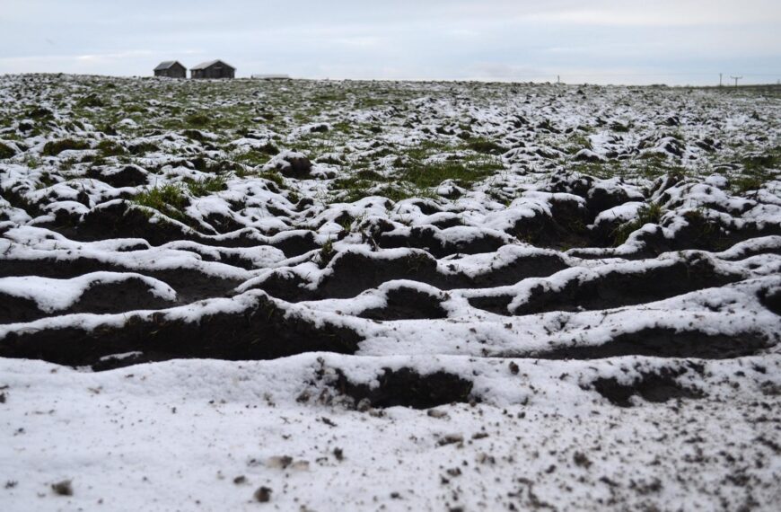 Don’t ruin dale’s unique fell’