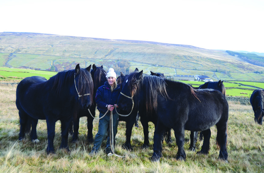 Emma continues Eccles family’s run of Dales Pony success