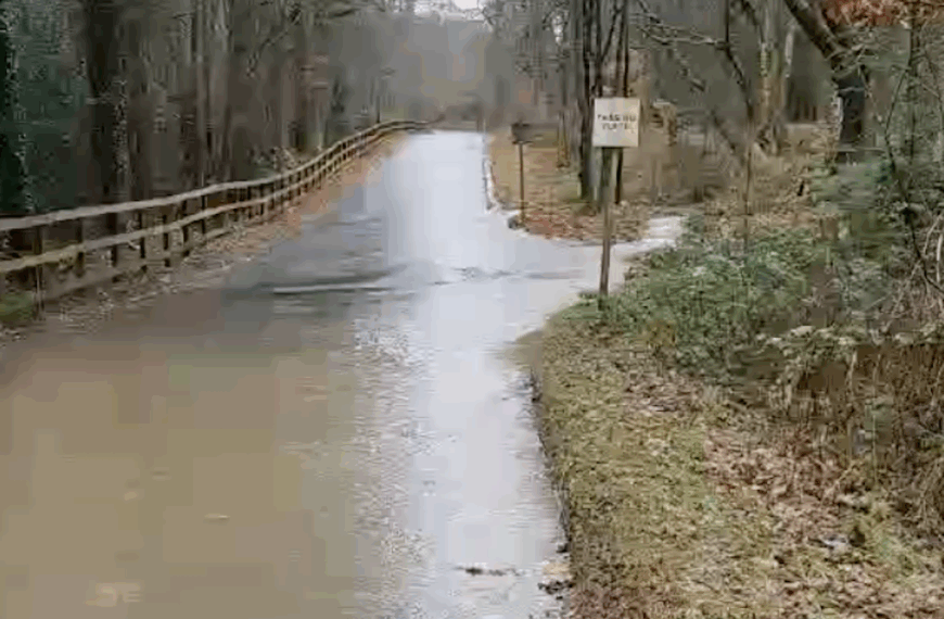 Hundreds object to £32m Hamsterley Forest tourism scheme